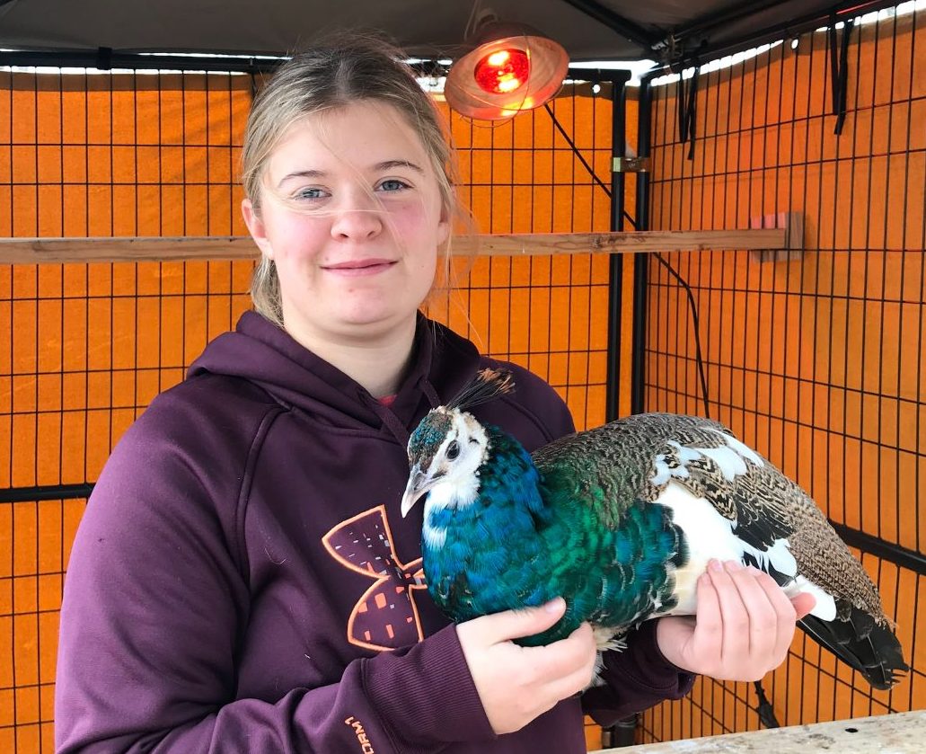 Photo of Savannah Pattridge, Student Research Assistant for Veterinary Pathobiology