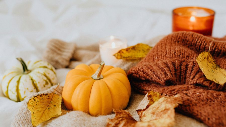 pumpkin and fall leaves